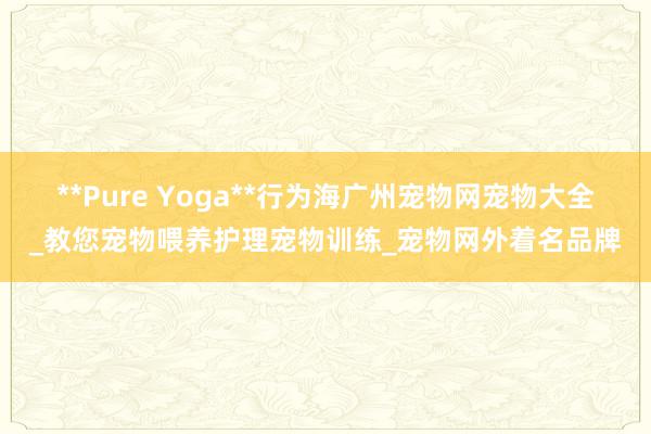 **Pure Yoga**行为海﻿广州宠物网宠物大全_教您宠物喂养护理宠物训练_宠物网外着名品牌